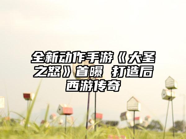 全新动作手游《大圣之怒》首曝 打造后西游传奇