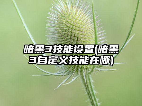 暗黑3技能设置(暗黑3自定义技能在哪)