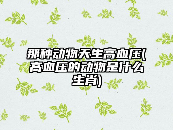 那种动物天生高血压(高血压的动物是什么生肖)