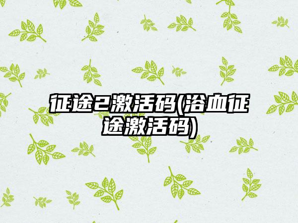 征途2激活码(浴血征途激活码)