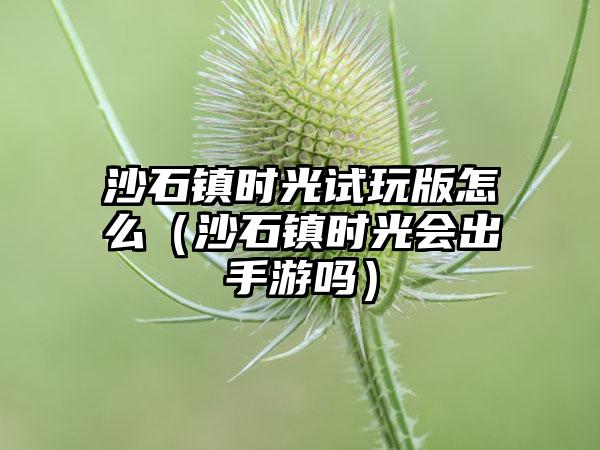 沙石镇时光试玩版怎么（沙石镇时光会出手游吗）