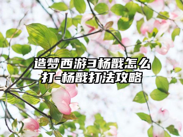 造梦西游3杨戬怎么打-杨戬打法攻略
