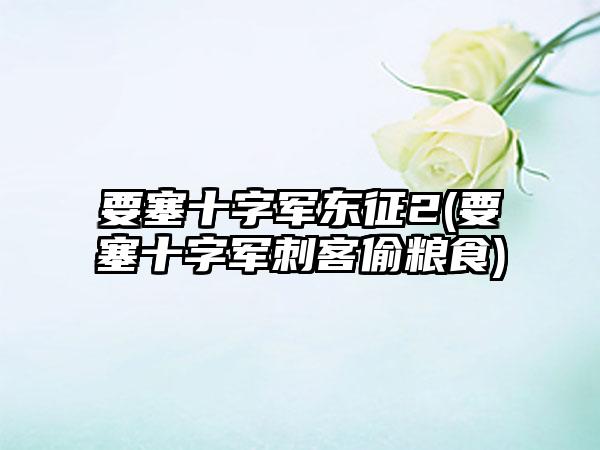 要塞十字军东征2(要塞十字军刺客偷粮食)