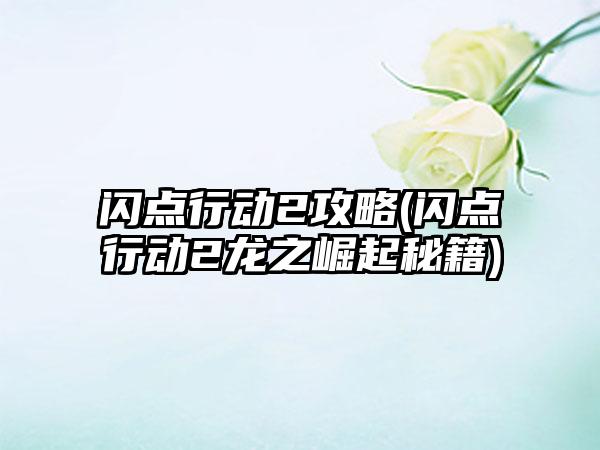 闪点行动2攻略(闪点行动2龙之崛起秘籍)