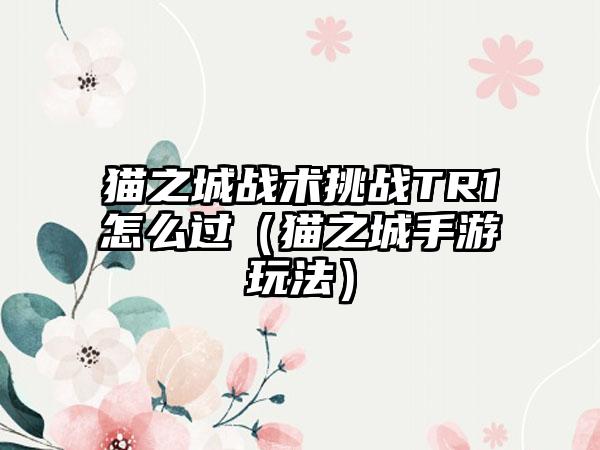 猫之城战术挑战TR1怎么过（猫之城手游玩法）