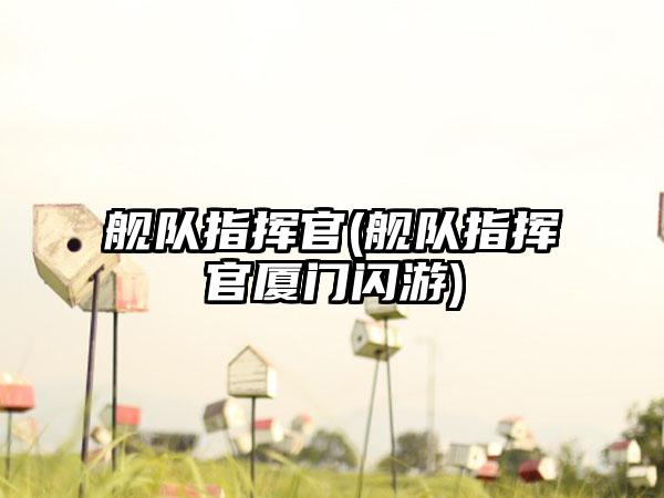 舰队指挥官(舰队指挥官厦门闪游)