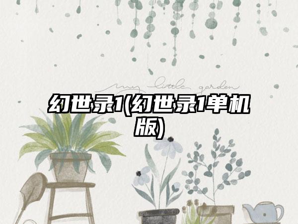 幻世录1(幻世录1单机版)