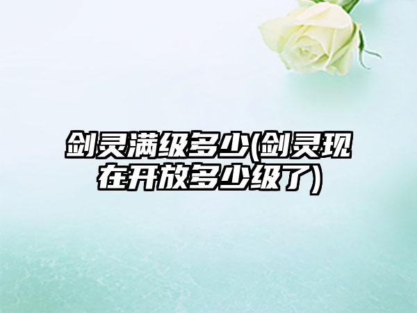 剑灵满级多少(剑灵现在开放多少级了)