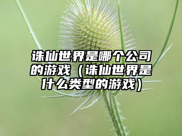 诛仙世界是哪个公司的游戏（诛仙世界是什么类型的游戏）