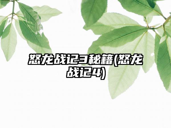 怒龙战记3秘籍(怒龙战记4)