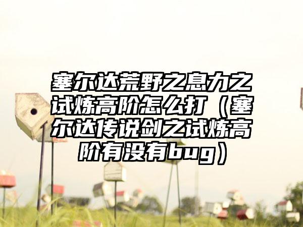 塞尔达荒野之息力之试炼高阶怎么打（塞尔达传说剑之试炼高阶有没有bug）