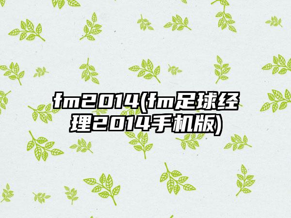 fm2014(fm足球经理2014手机版)