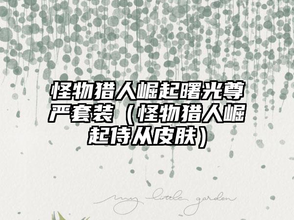 怪物猎人崛起曙光尊严套装（怪物猎人崛起侍从皮肤）