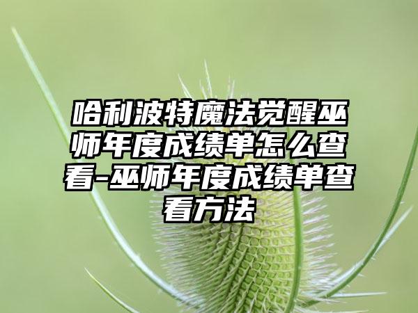 哈利波特魔法觉醒巫师年度成绩单怎么查看-巫师年度成绩单查看方法