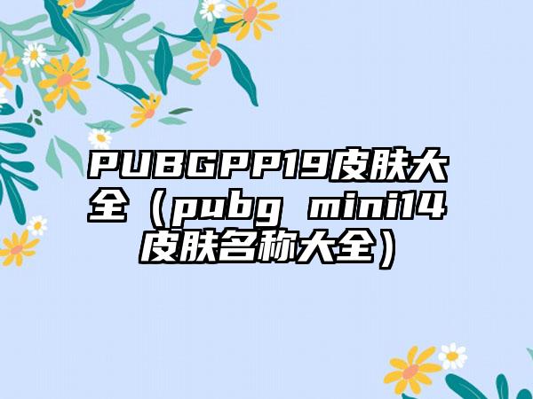 PUBGPP19皮肤大全（pubg mini14皮肤名称大全）