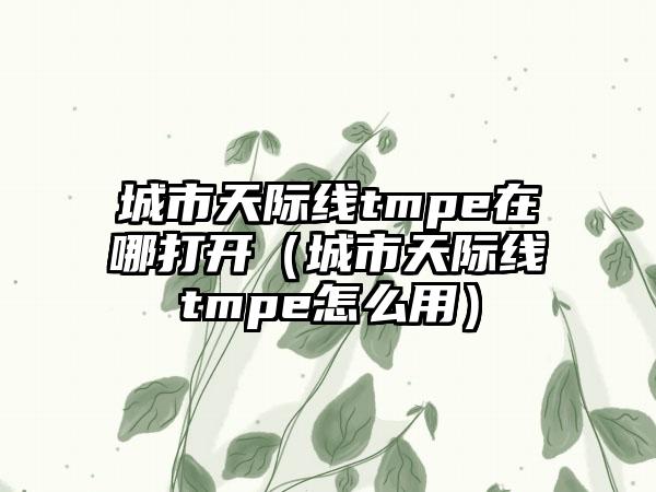 城市天际线tmpe在哪打开（城市天际线tmpe怎么用）
