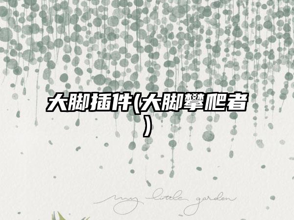 大脚插件(大脚攀爬者)