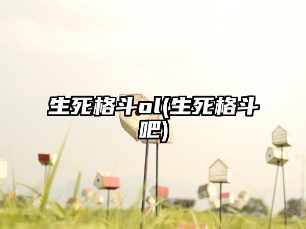 生死格斗ol(生死格斗吧)