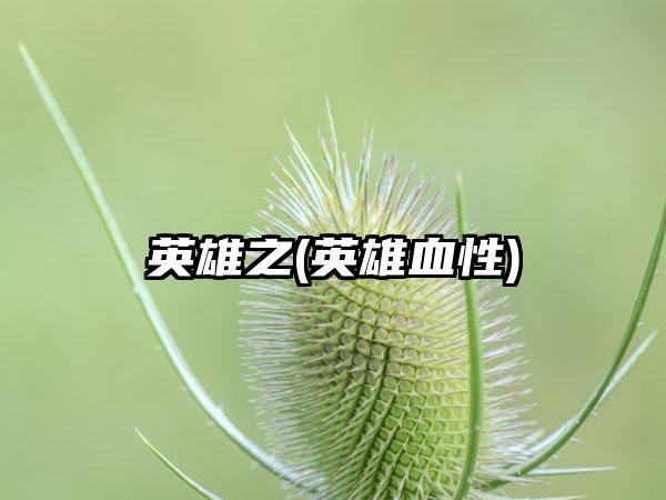 英雄之(英雄血性)
