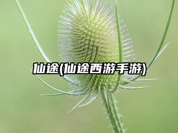 仙途(仙途西游手游)