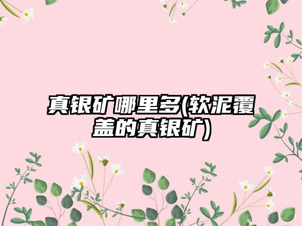 真银矿哪里多(软泥覆盖的真银矿)