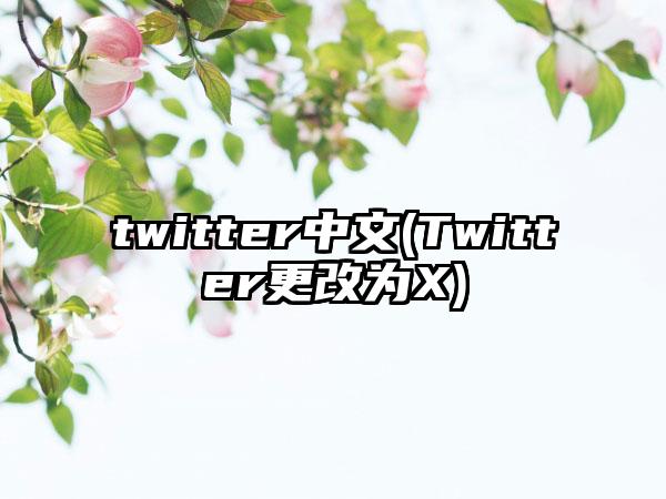 twitter中文(Twitter更改为X)