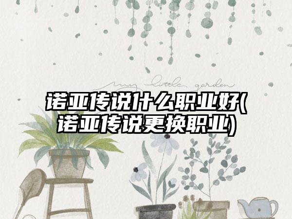 诺亚传说什么职业好(诺亚传说更换职业)