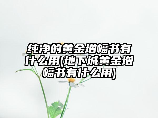 纯净的黄金增幅书有什么用(地下城黄金增幅书有什么用)