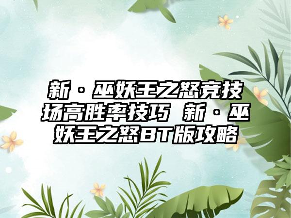 新·巫妖王之怒竞技场高胜率技巧 新·巫妖王之怒BT版攻略