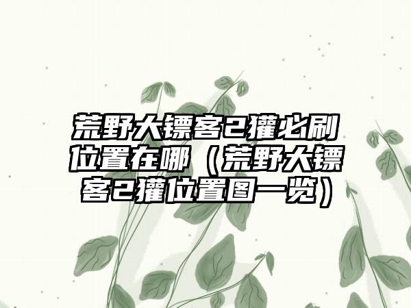 荒野大镖客2獾必刷位置在哪（荒野大镖客2獾位置图一览）