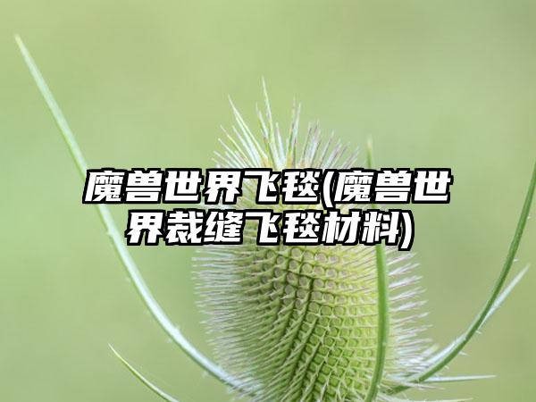 魔兽世界飞毯(魔兽世界裁缝飞毯材料)