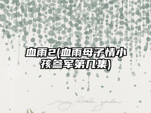 血雨2(血雨母子情小孩参军第几集)