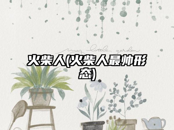 火柴人(火柴人最帅形态)