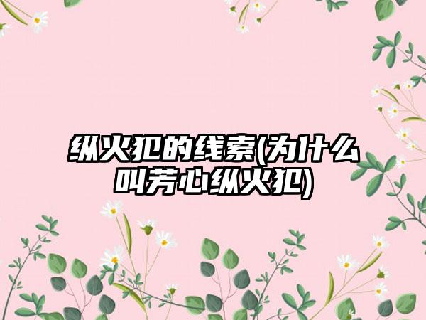 纵火犯的线索(为什么叫芳心纵火犯)