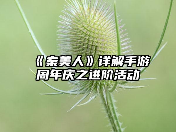 《秦美人》详解手游周年庆之进阶活动