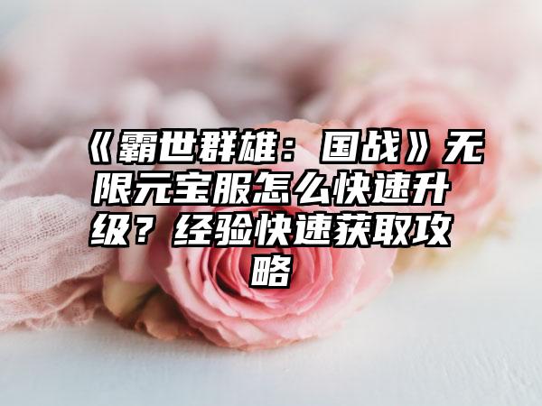 《霸世群雄：国战》无限元宝服怎么快速升级？经验快速获取攻略