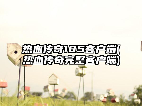 热血传奇185客户端(热血传奇完整客户端)