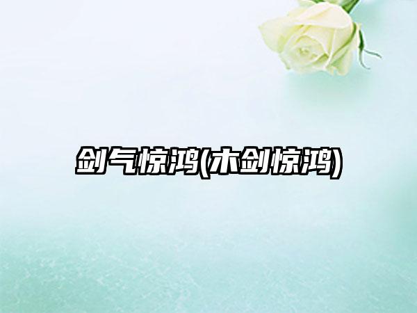 剑气惊鸿(木剑惊鸿)