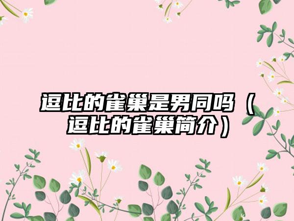 逗比的雀巢是男同吗（逗比的雀巢简介）