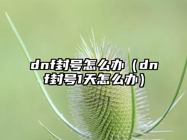dnf封号怎么办（dnf封号1天怎么办）