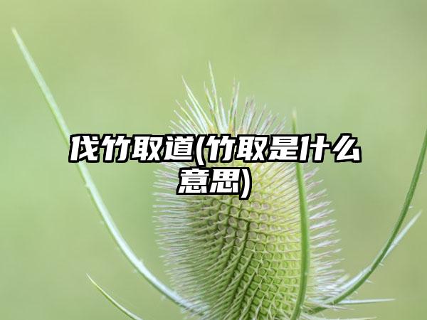 伐竹取道(竹取是什么意思)