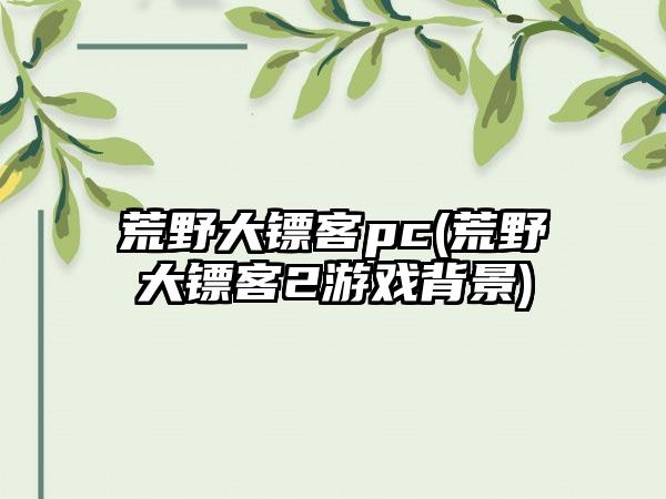 荒野大镖客pc(荒野大镖客2游戏背景)