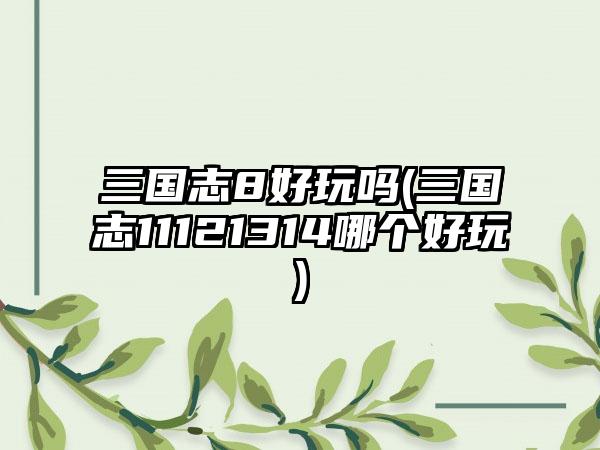 三国志8好玩吗(三国志11121314哪个好玩)