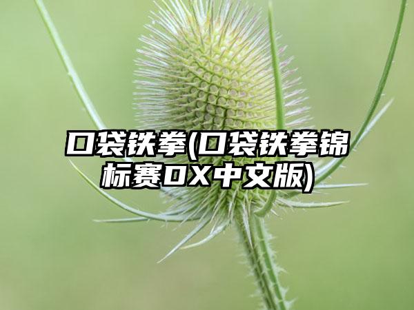 口袋铁拳(口袋铁拳锦标赛DX中文版)