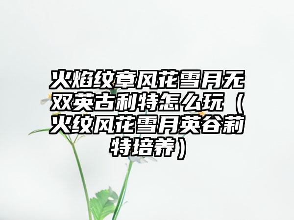 火焰纹章风花雪月无双英古利特怎么玩（火纹风花雪月英谷莉特培养）