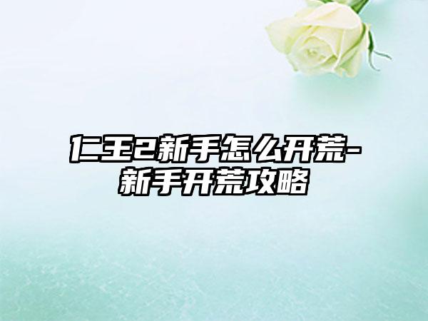 仁王2新手怎么开荒-新手开荒攻略