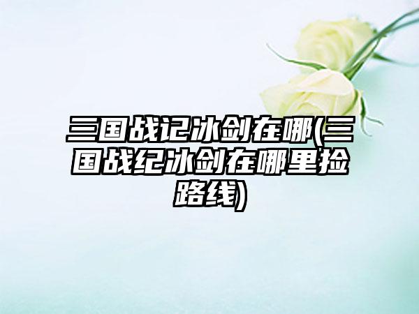 三国战记冰剑在哪(三国战纪冰剑在哪里捡路线)