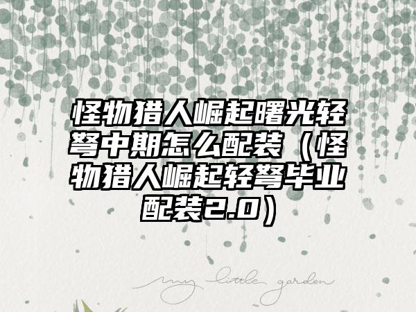 怪物猎人崛起曙光轻弩中期怎么配装（怪物猎人崛起轻弩毕业配装2.0）