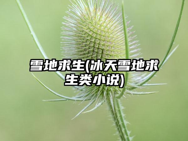 雪地求生(冰天雪地求生类小说)