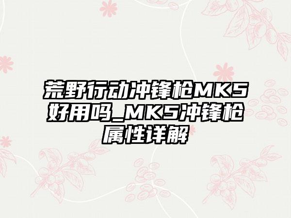 荒野行动冲锋枪MK5好用吗_MK5冲锋枪属性详解
